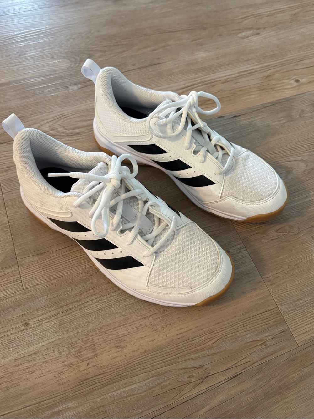 Brand new Adidas Womens White and Black Volleyball Court Shoes Women’s 10.5